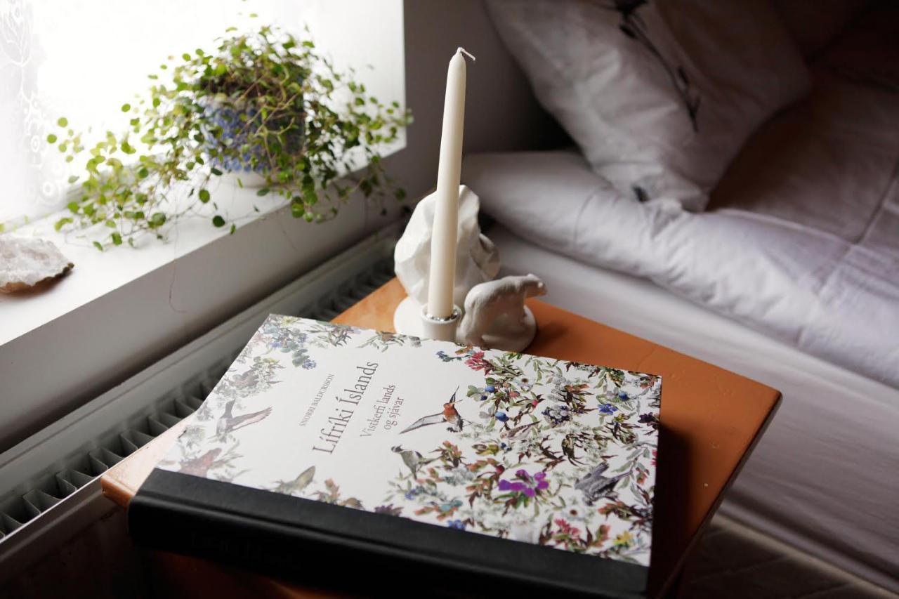 Nylenda Apartment Seythisfjorthur Luaran gambar